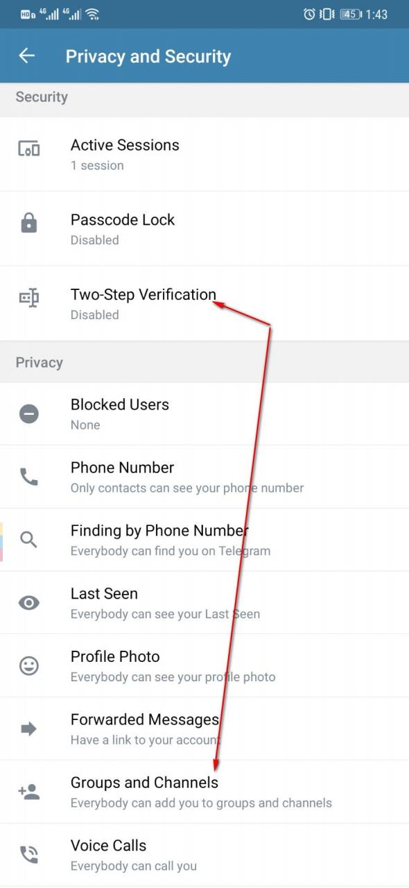 用Google Voice号码注册Telegram/电报/纸飞机的流程和注意事项(图文教程) 用Google Voice号码注册Telegram/电报/纸飞机的流程和注意事项(图文教程)