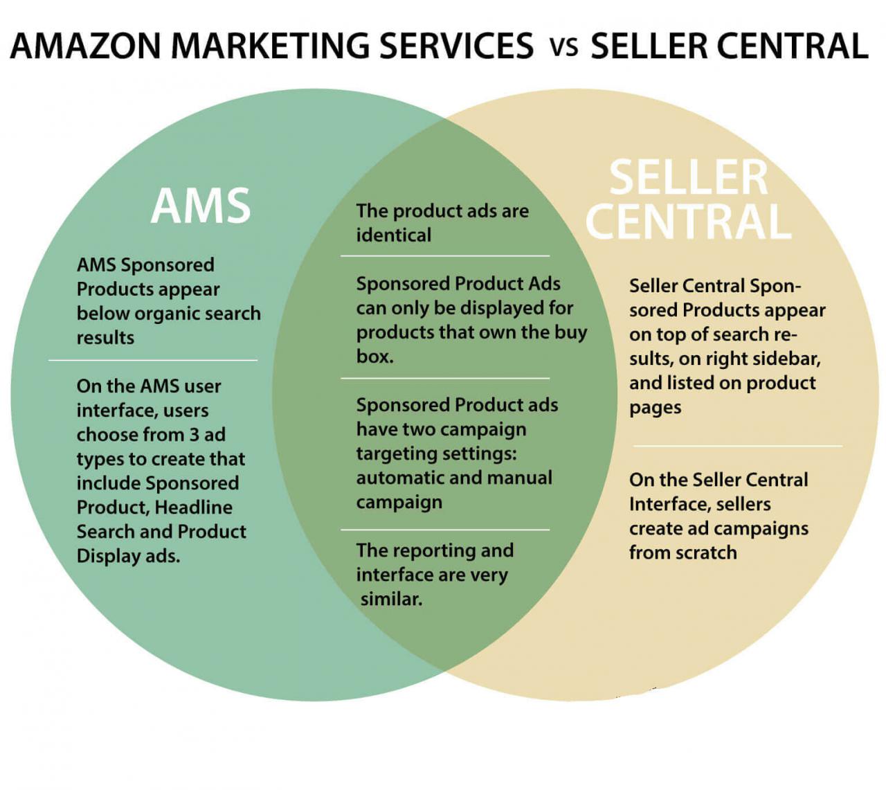 亚马逊营销服务（AMS）–您需要的一个入门指南