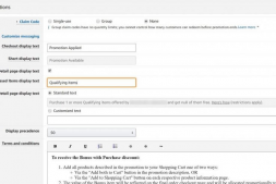 如何设置亚马逊促销活动以增加业务的流量和销售–包括顶级策略!